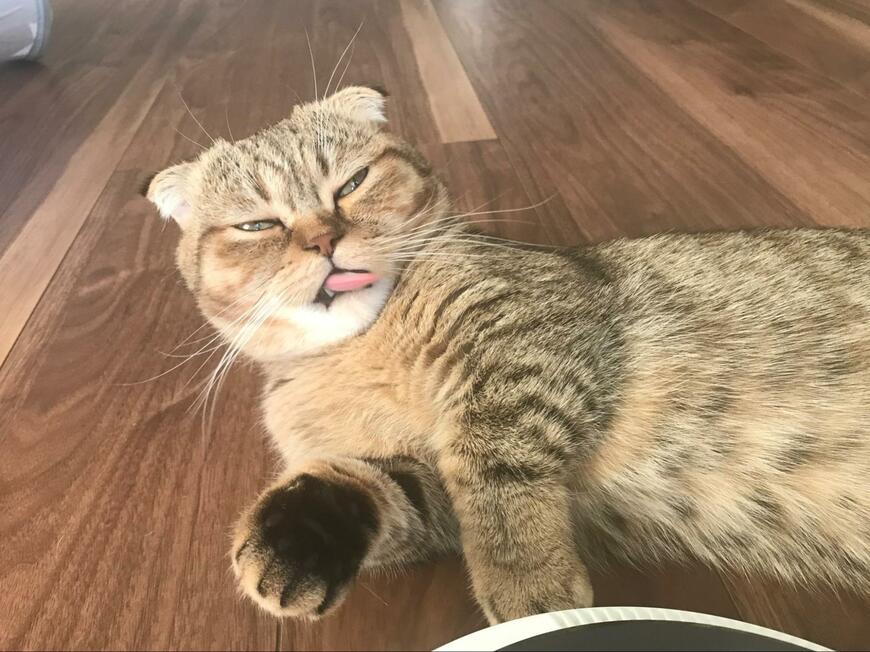 出所：@ponpokopontanu