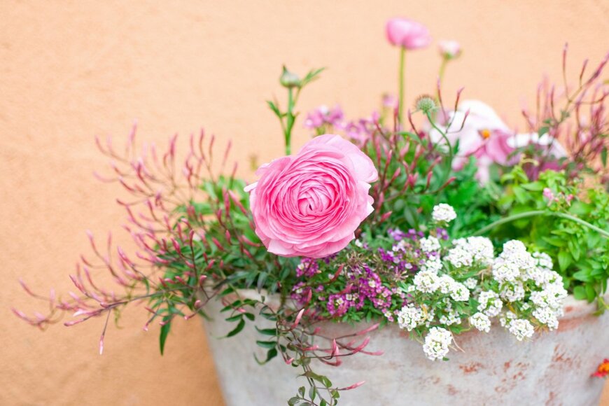 KPG-Payless2/shutterstock.com