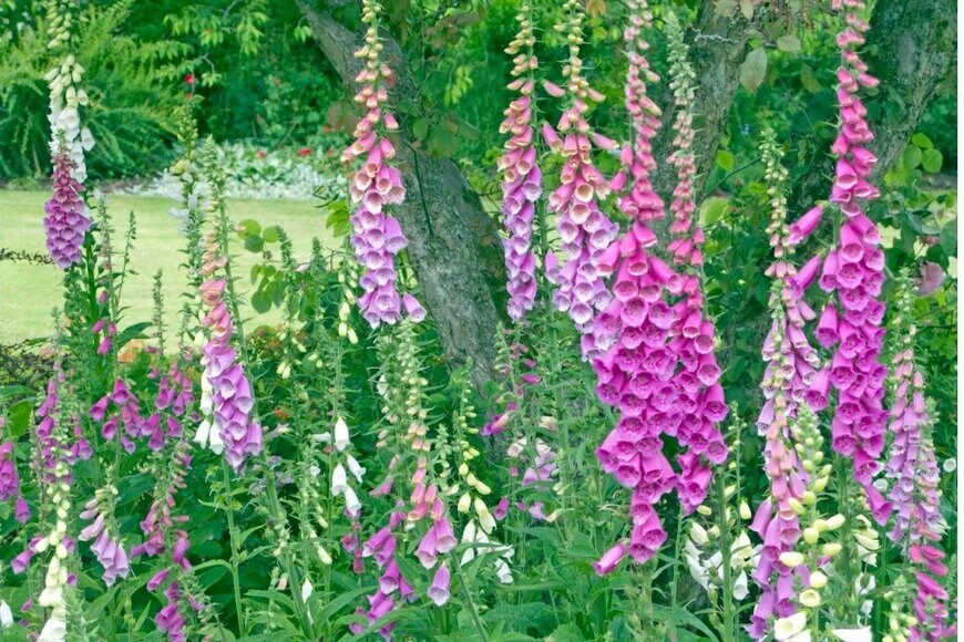 alfgosch/istockphoto.com