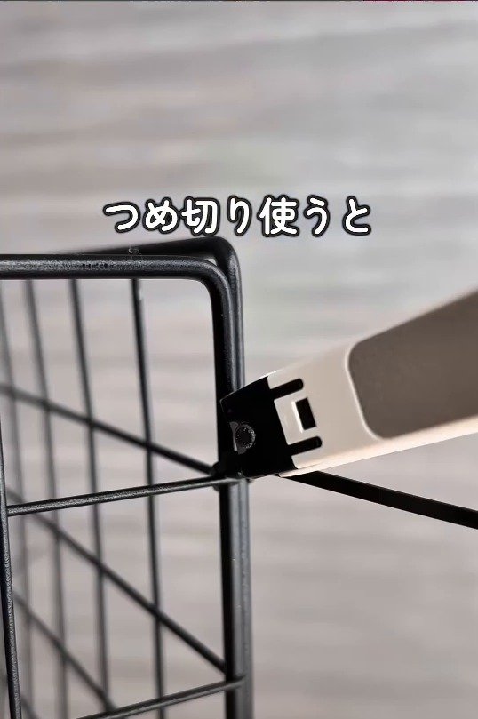 爪切りで先端をカット