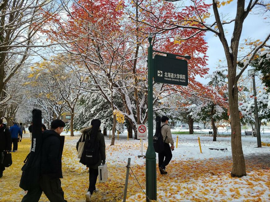 出所：@Pure_OORer