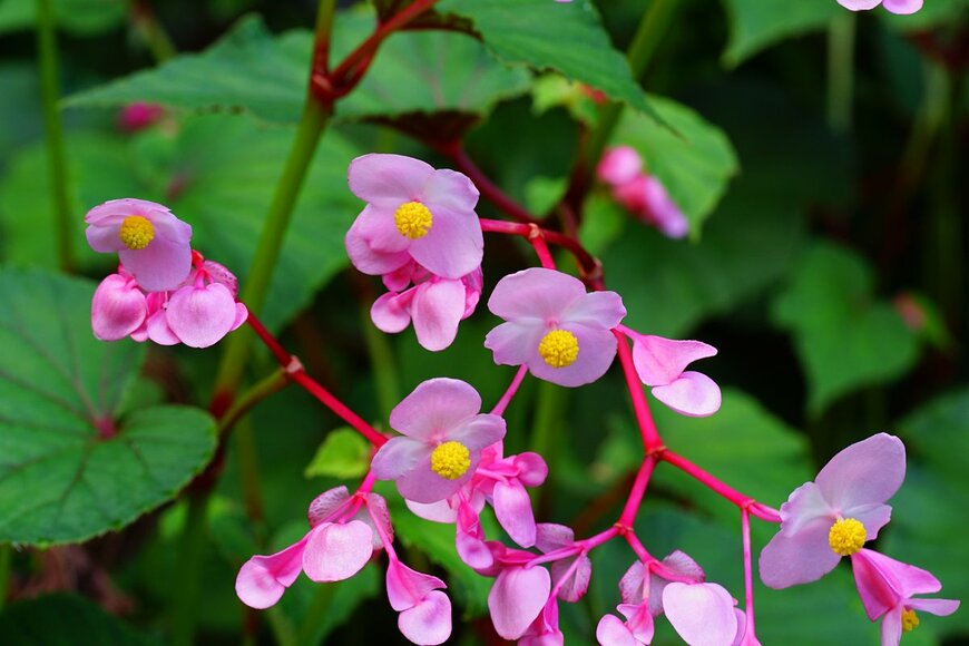 EQRoy/Shutterstock.com