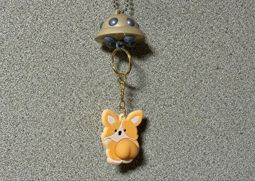 筆者撮影（セリア、連れさりUFO）