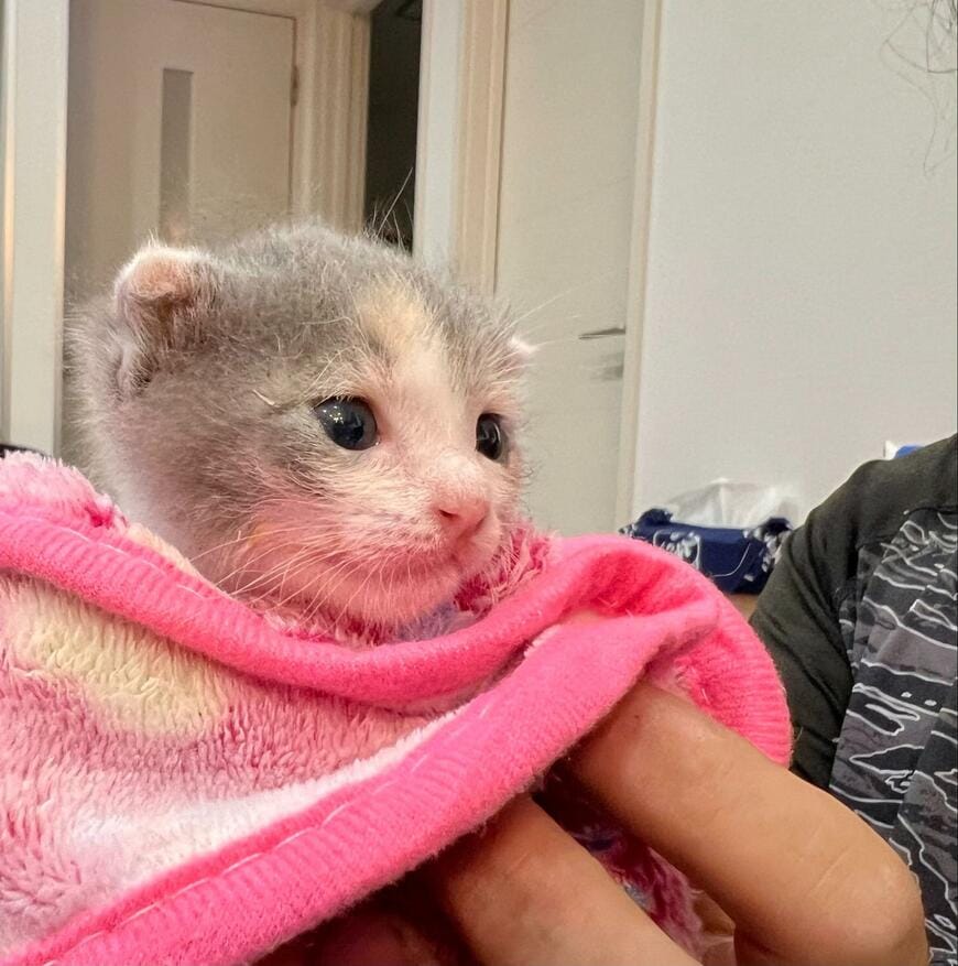 出所：@omochi_nam01