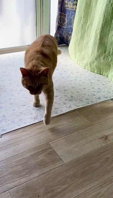 出所：@luna7taka9