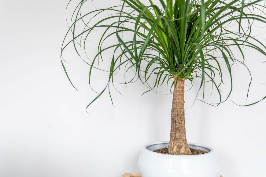 jackbolla/shutterstock.com