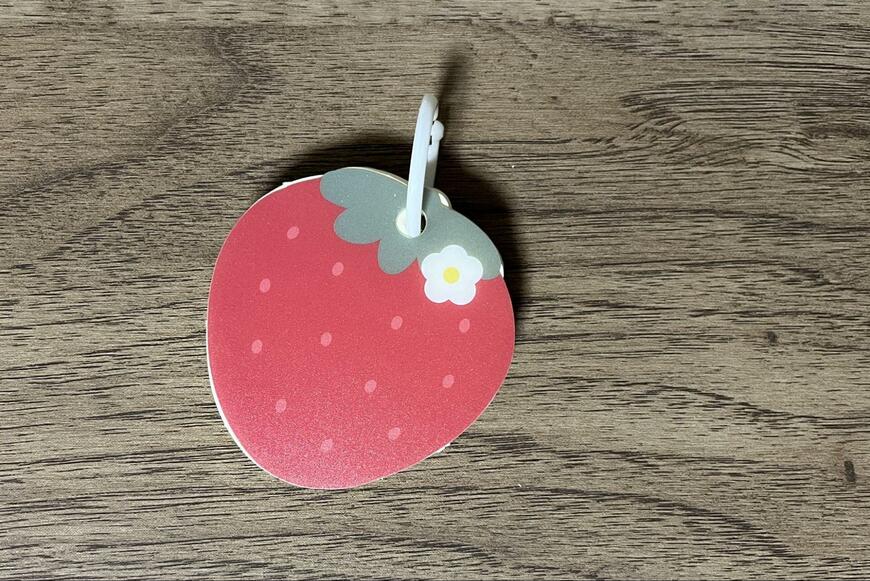 筆者撮影（キャンドゥ、単語帳 2P いちご）