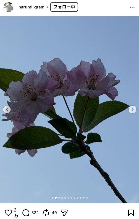 出所：栗原はるみのInstagram（＠harumi_gram）　参照日：2026年4月16日