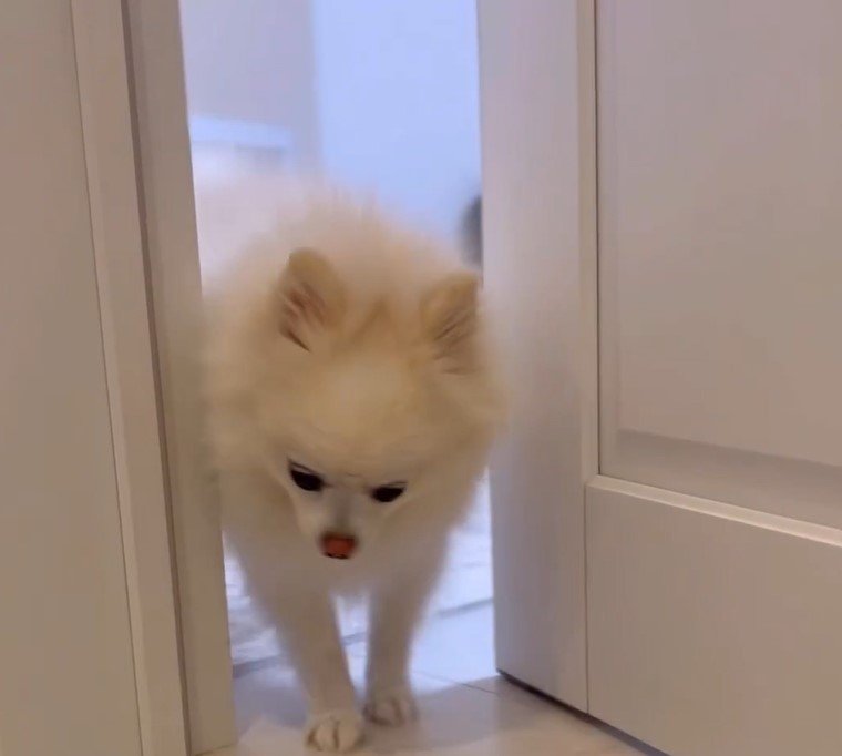 出所：@boku_ponchan