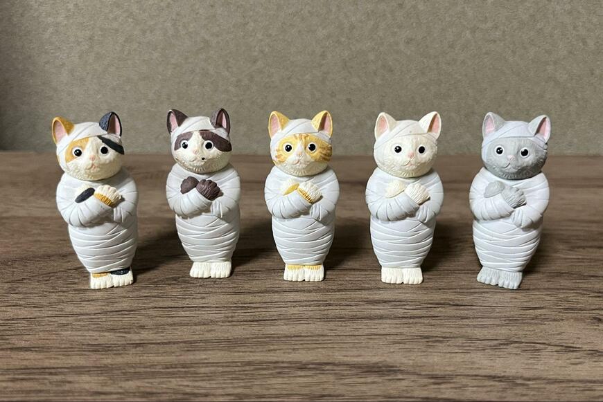 筆者撮影（株式会社キタンクラブ、ミイラ・キャット）