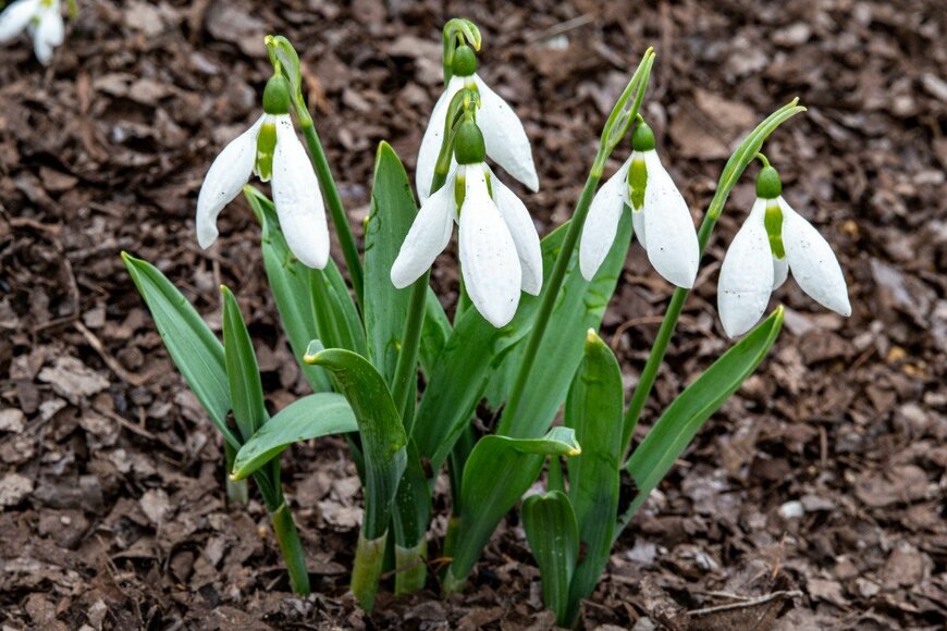 Billy_Fam/istockphoto.com