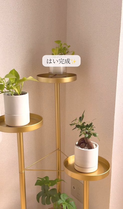 出所：@asami_kurashi