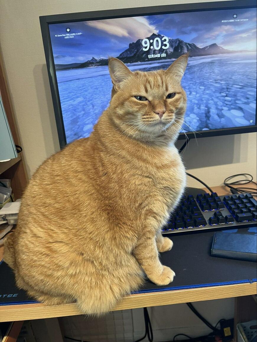 出所：@kagisuzu0531