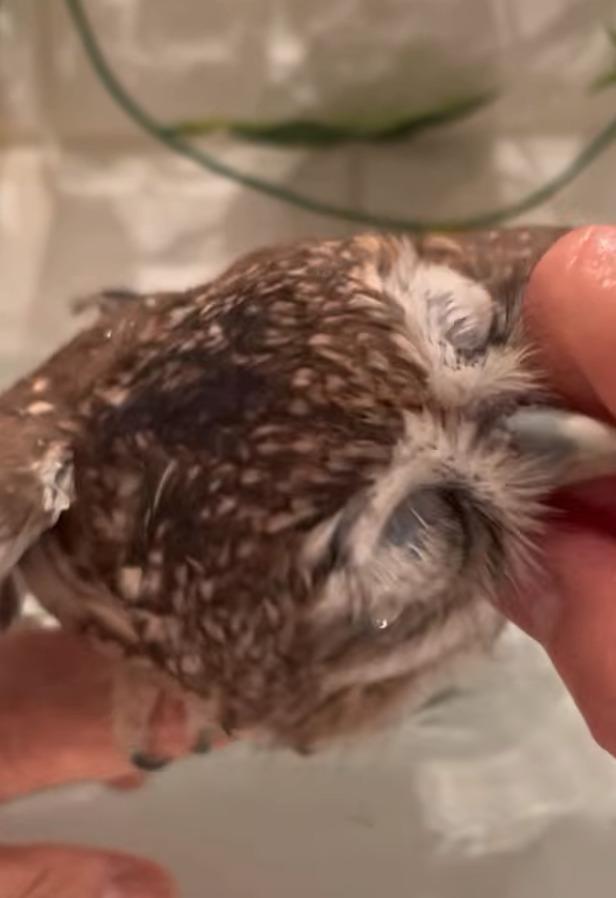 出所：@cr8673.hiro