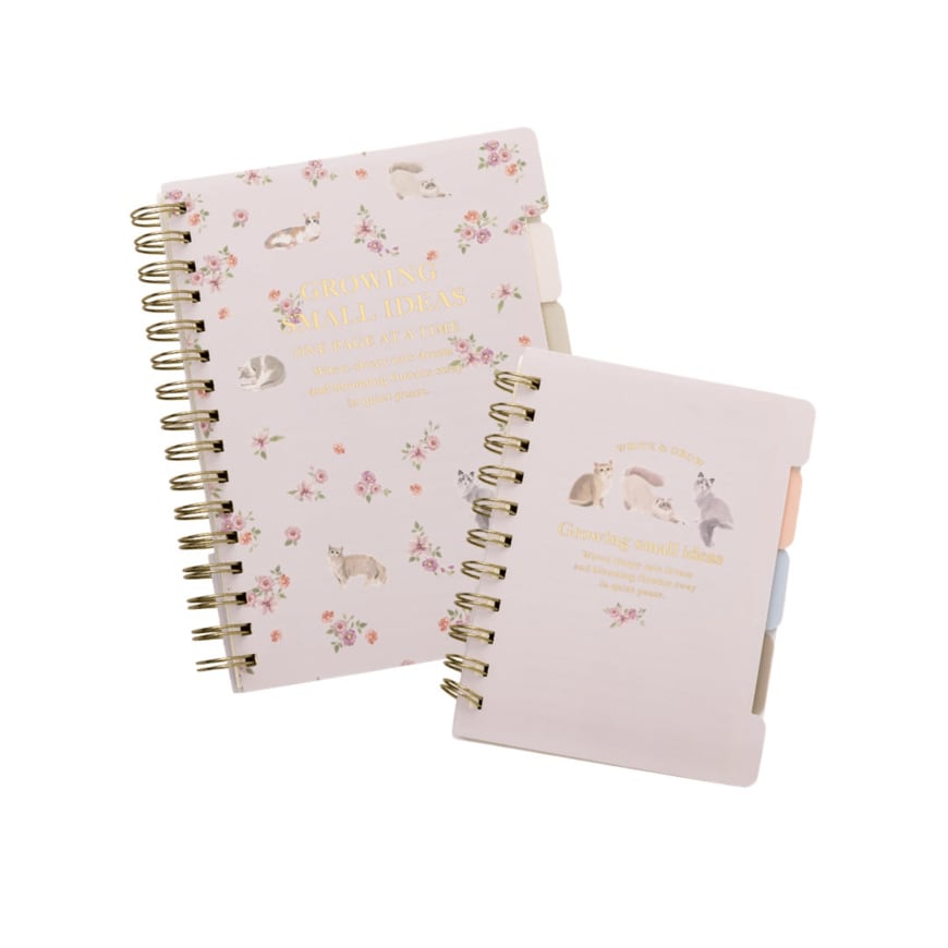 出所：株式会社大創産業　