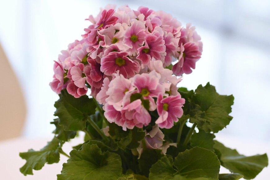 undefined undefined/istockphoto.com