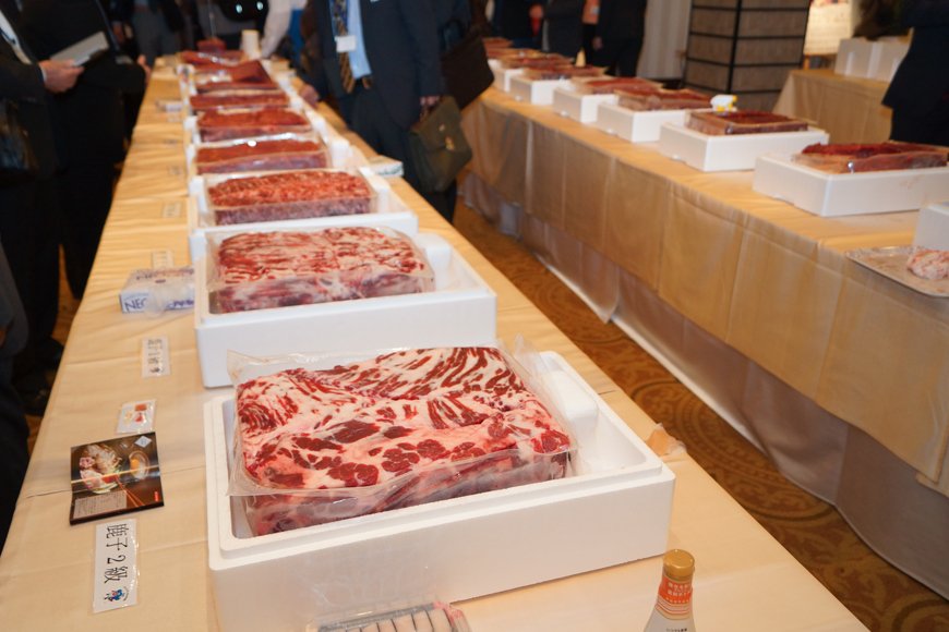 展示フロアには、イワシクジラ34規格、ミンククジラ14規格が並べられた。