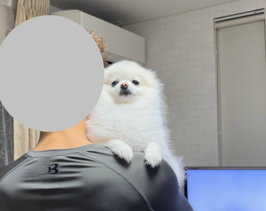 出所：@boku_ponchan