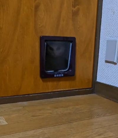 ドアの向こうから視線が…正体は猫ちゃん！飼い主さんを監視する姿がかわいすぎる！