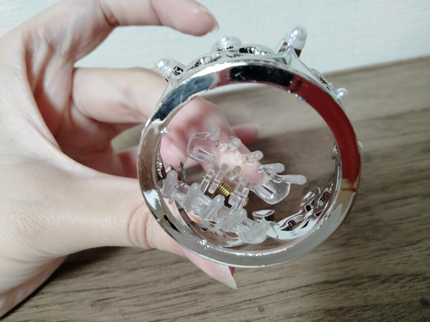 筆者撮影（セリア、ペット用クラウン）