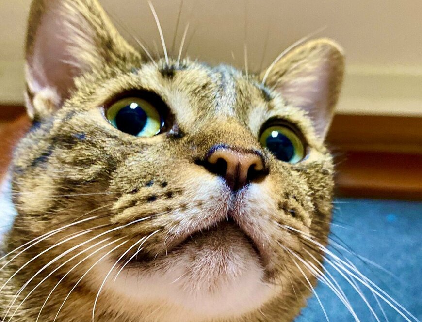 出所：@luna7taka9