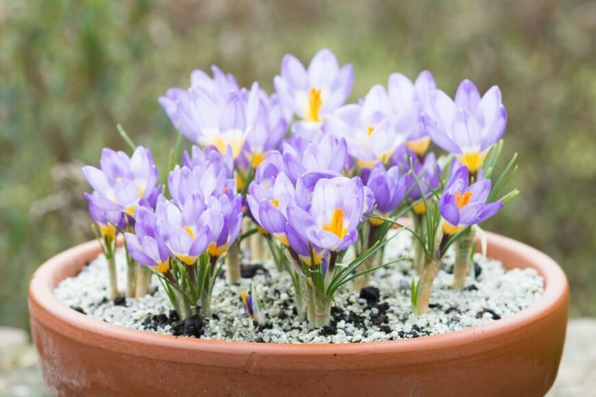 high fliers/shutterstock.com