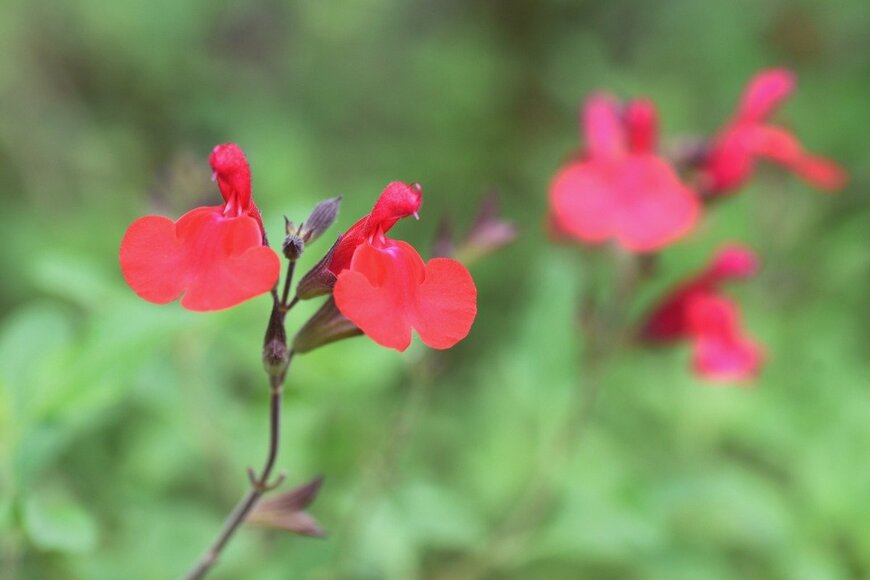 undefined undefined/istockphoto.com