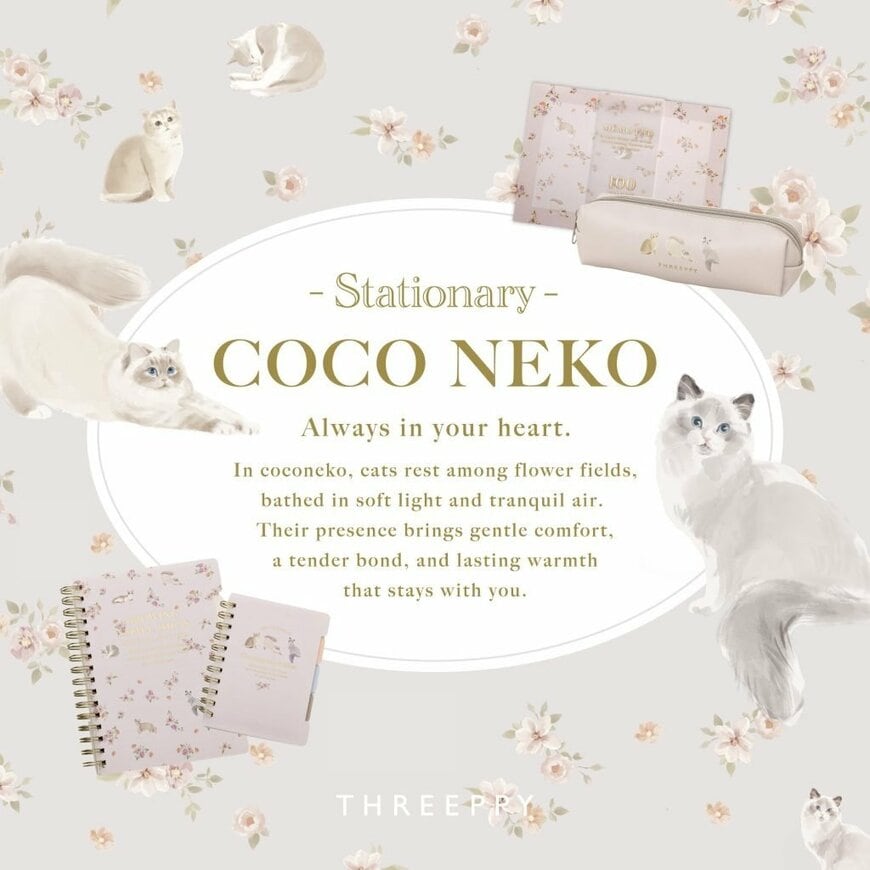 出所：株式会社大創産業