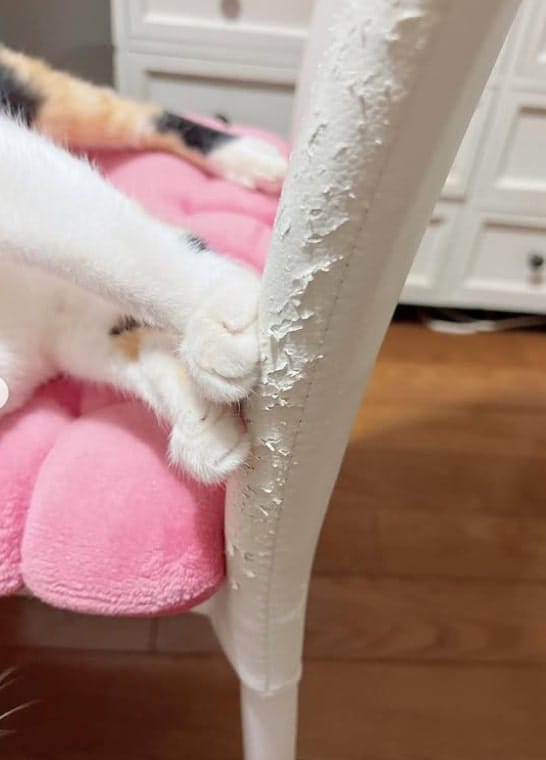 出所：@hikaitimilky