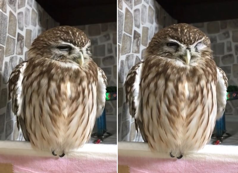 出所：@cr8673.hiro