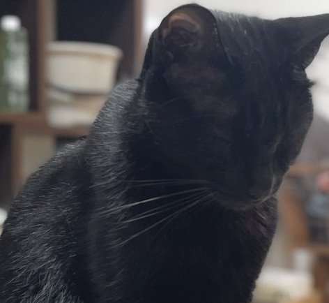 出所：＠Teagle_Noir