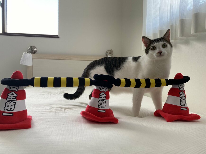 出所：@Saeroyi_cat