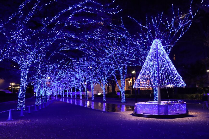 渋谷の人気イルミネーション「青の洞窟」を取材！2023年冬はクリスマスマーケットも開催