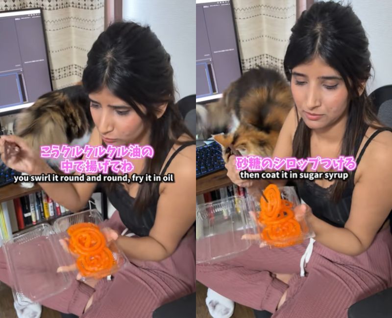 投稿動画のワンシーン