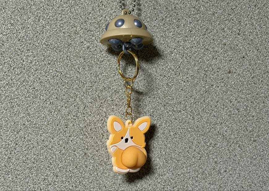 セリア、連れさりUFOの画像