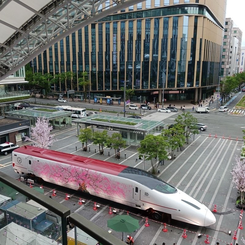 【昼の写真】JR博多駅前広場「満開の桜が咲くつばめ」のライトアップ