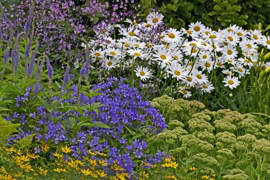 白色や紫色の、たくさんのお花のコテージガーデン