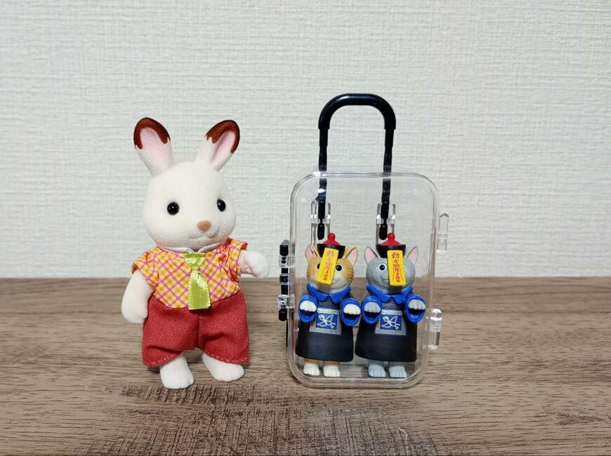 キャンドゥ、ミニチュアスーツケース画像