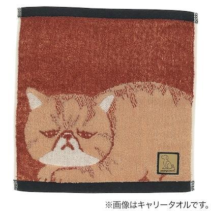 ニトリ キャリータオル&スキニータオル 2点セット (エキゾチックショートヘア)