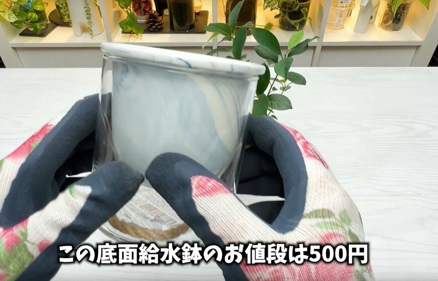 ダイソー THREEPPYの棚に並んでいる底面吸水鉢「陶器&ガラス製自動給水プランター」