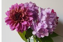 【ガーデニング】アジサイと一緒に飾るとオシャレ！オススメの切り花＆枝もの7選、組み合わせでより美しく