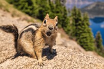 「厚生年金、ひと月15万円では？」シニア女性が年金の振込額に目を疑ったワケ