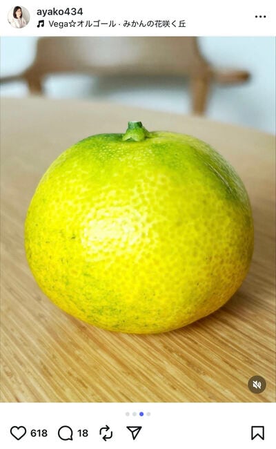 小林綾子のInstagram投稿