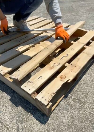 投稿動画のワンシーン