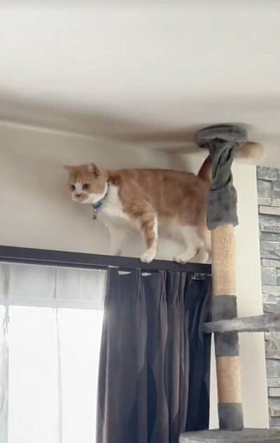 投稿の画像