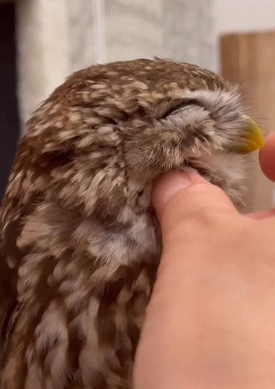 投稿動画のワンシーン