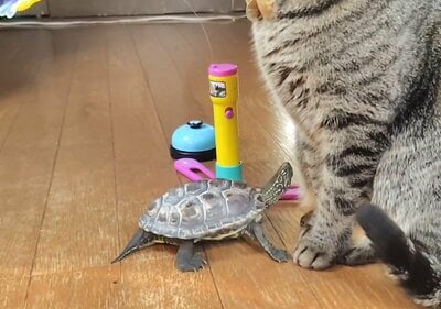 ジッと小雪ちゃんを見つめます