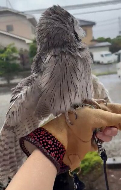 投稿動画のワンシーン