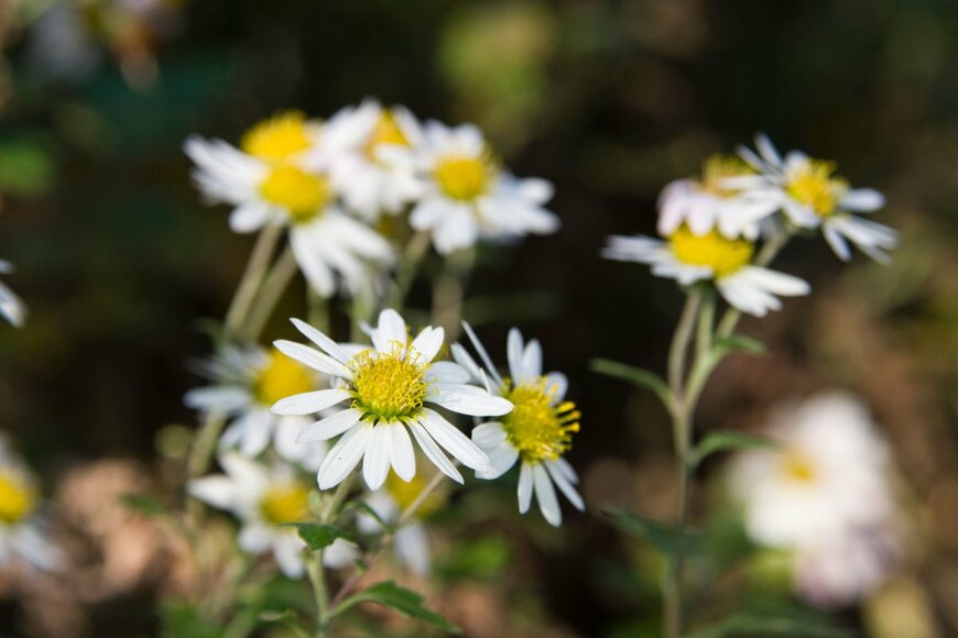 zzz555zzz/shutterstock.com