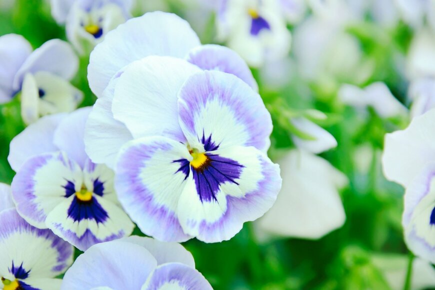 lennykaiser/shutterstock.com